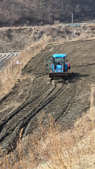 전진원님의 포도 · 영농일지 작성글 사진