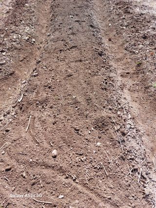 손길준님의 기타작물 · 영농일지 작성글 사진