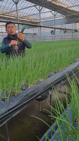 엔젤님의 기타작물 · 영농일지 작성글 사진