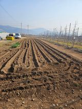 팜모닝 참깨·영농일지 게시글 이미지