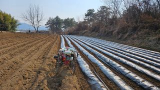 김상년님의 감자 · 영농일지 작성글 사진