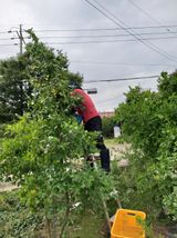 팜모닝 기타작물·영농일지 게시글 이미지