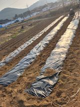 팜모닝 기타작물·영농일지 게시글 이미지