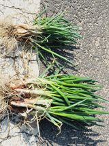 한경훈님의 작성글 사진