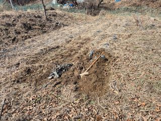 엉뚱님의 기타작물 · 영농일지 작성글 사진