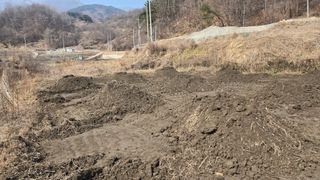 전진원님의 포도 · 영농일지 작성글 사진