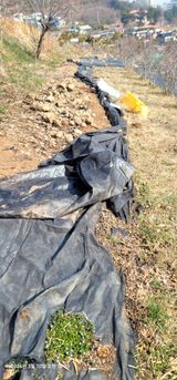 팜모닝 기타작물·영농일지 게시글 이미지