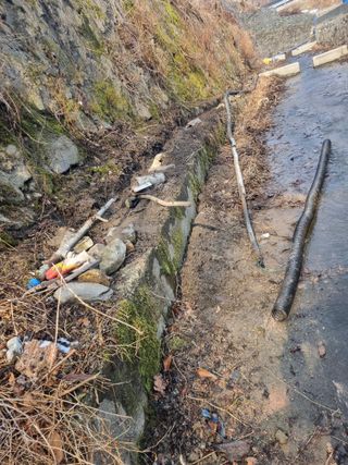 김용대님의 기타작물 · 영농일지 작성글 사진