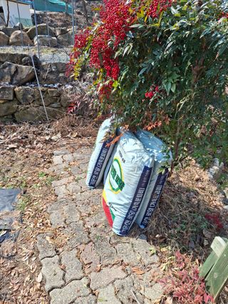 헤이쥬회원님의 매실 · 영농일지 작성글 사진