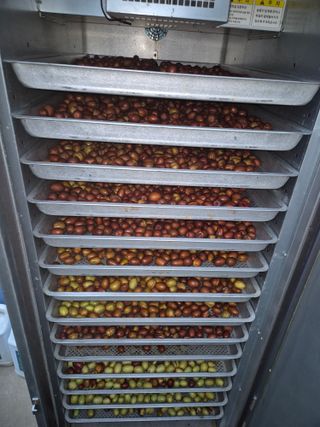 고태진님의 기타작물 · 영농일지 작성글 사진