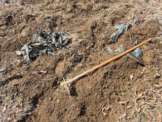 엉뚱님의 기타작물 · 영농일지 작성글 사진