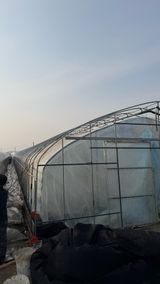 팜모닝 기타작물·영농일지 게시글 이미지