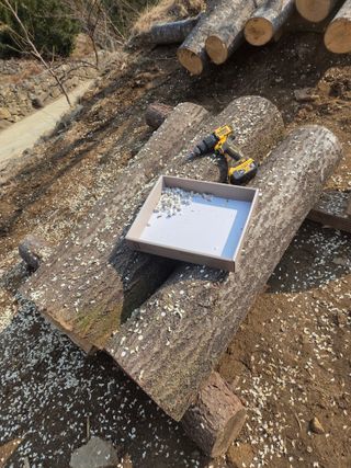 박동섭님의 기타작물 · 영농일지 작성글 사진