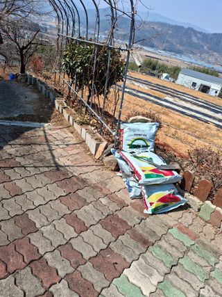 헤이쥬회원님의 매실 · 영농일지 작성글 사진