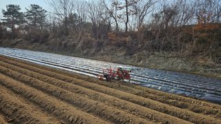 김상년님의 감자 · 영농일지 작성글 사진