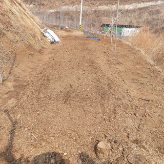 가로수님의 기타작물 · 영농일지 작성글 사진