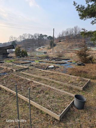 약초원 김종군님의 기타작물 · 영농일지 작성글 사진