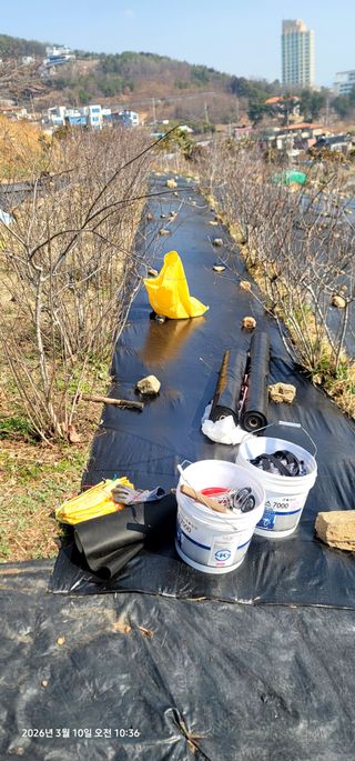 박종화님의 기타작물 · 영농일지 작성글 사진