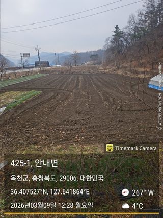 찔레골 양봉 농원님의 감자 · 영농일지 작성글 사진