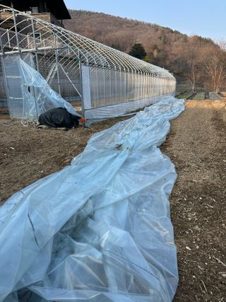 이익수님의 기타작물 · 영농일지 작성글 사진