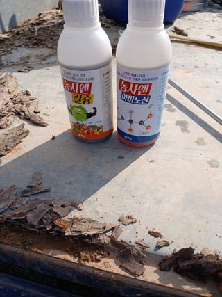 최유순님의 마늘 · 영농일지 작성글 사진