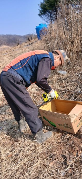 정연섭님의 고추 · 영농일지 작성글 사진