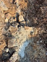 팜모닝 기타작물·영농일지 게시글 이미지