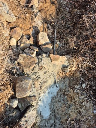 엉뚱님의 기타작물 · 영농일지 작성글 사진