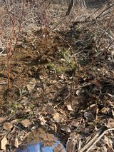 팜모닝 기타작물·영농일지 게시글 이미지