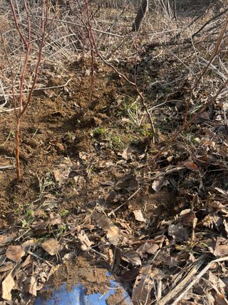 이근표님의 기타작물 · 영농일지 작성글 사진