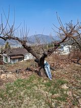 헤이쥬회원님의 작성글 사진