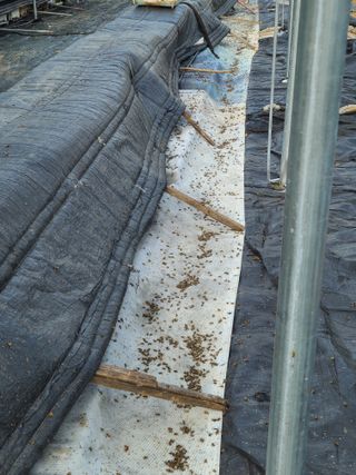 박춘성님의 감 · 영농일지 작성글 사진