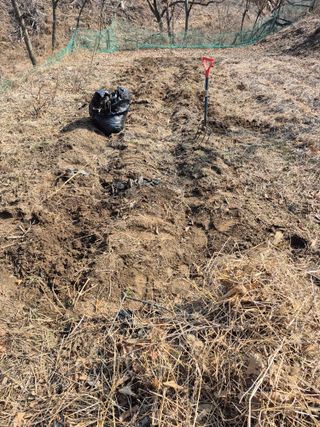 엉뚱님의 기타작물 · 영농일지 작성글 사진