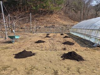 윤장원님의 감자 · 영농일지 작성글 사진