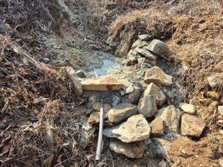 엉뚱님의 기타작물 · 영농일지 작성글 사진