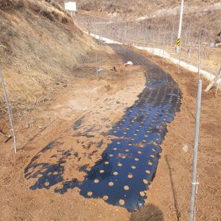 가로수님의 기타작물 · 영농일지 작성글 사진