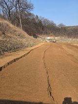 팜모닝 감자·영농일지 게시글 이미지