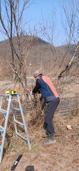 팜모닝 기타작물·영농일지 게시글 이미지