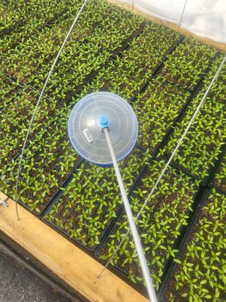 이상욱님의 고추 · 영농일지 작성글 사진