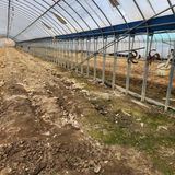 팜모닝 고추·영농일지 게시글 이미지