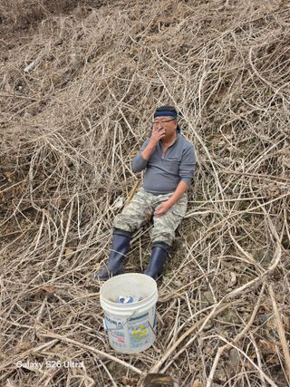김종협님의 기타작물 · 영농일지 작성글 사진