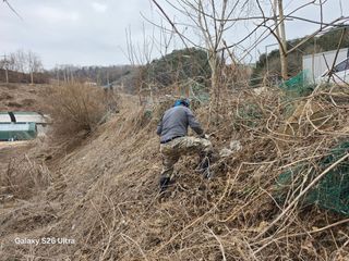 김종협님의 기타작물 · 영농일지 작성글 사진