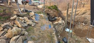 달맛햇복숭아농원님의 복숭아 · 영농일지 작성글 사진