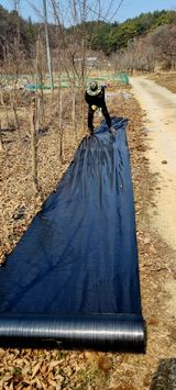 팜모닝 기타작물·영농일지 게시글 이미지