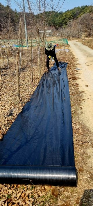 (팽나무*공주)님의 기타작물 · 영농일지 작성글 사진