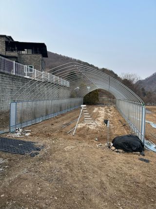 이익수님의 옥수수 · 영농일지 작성글 사진