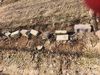 박유순님의 포도 · 영농일지 작성글 사진