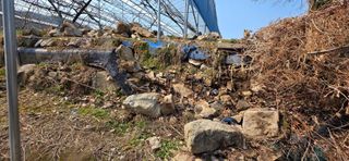 달맛햇복숭아농원님의 복숭아 · 영농일지 작성글 사진