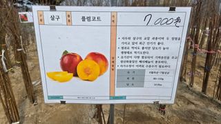 전진원님의 포도 · 영농일지 작성글 사진