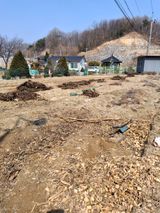 팜모닝 기타작물·영농일지 게시글 이미지